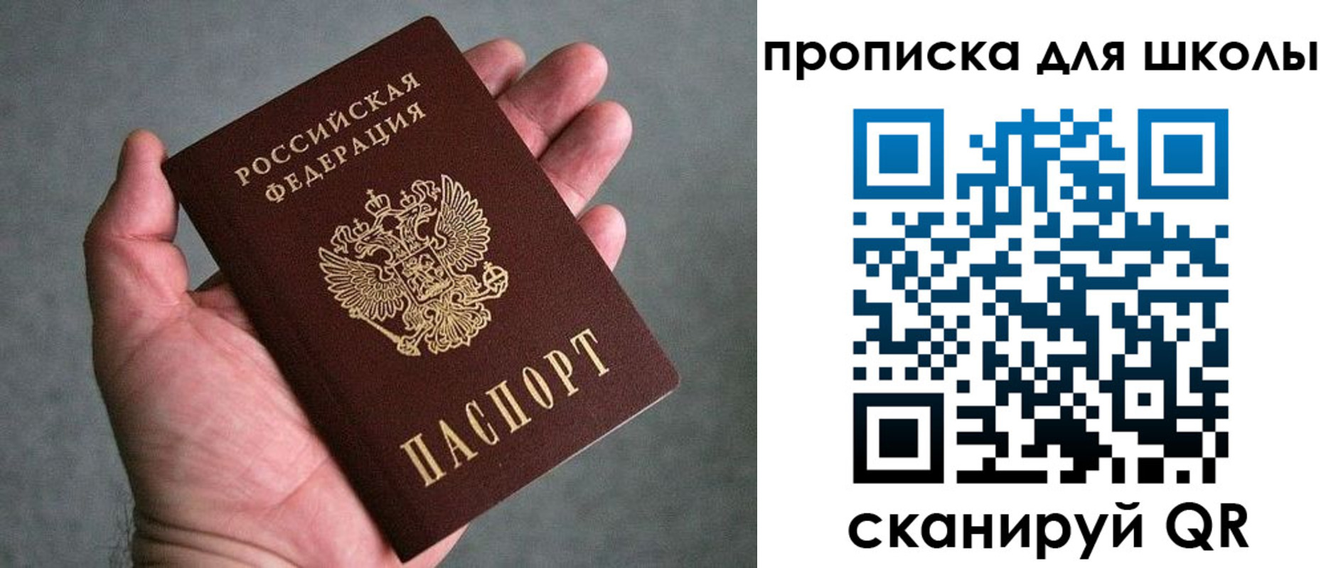 прописка для школы в Ермолино